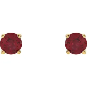 14K Yellow 4 mm Natural Ruby Stud Earrings with Friction Post