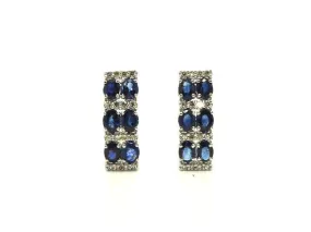 Blue Sapphire And Diamond 2row Parallel Earring Ad No.0985