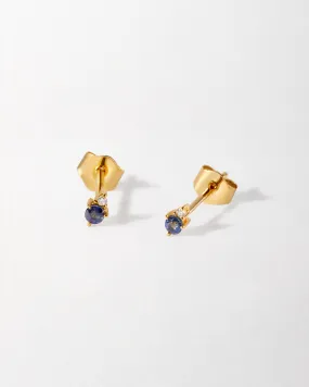 Blue Sapphire Diamond Stud Earrings